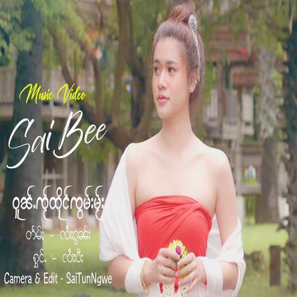 ဝူၼ်ႉၸႂ်ထိုင်ၸွမ်းမႂ်း - ၸၢႆးပီး