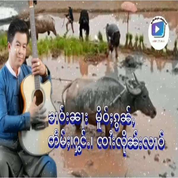 ၶၢဝ်းၼႃး မိူဝ်ႈၵွၼ်ႇ - ၸၢႆးလိုၼ်းလၢဝ်