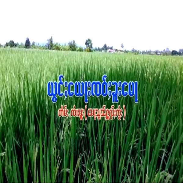 ယွင်ႈၸဝ်ႈၶူမေႃ - ၼၢင်းၼွင်ႉၼူၼ်း & ၼၢင်းၸၢမ်ၶမ်း