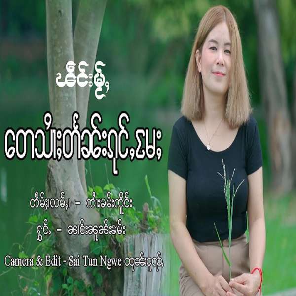 တေသၢႆႈတႅၼ်းၵုင်ႇမႄႈ - ၼၢင်းၼူၼ်းၶမ်း