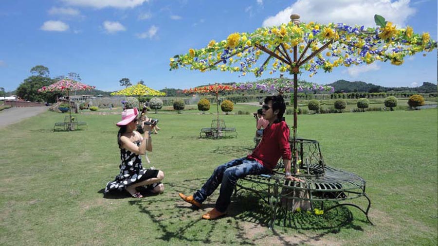တၢင်းႁၵ်ႉၽၢႆႇလဵဝ် - ၸၢႆးသႅင်ၸွမ်ၾႃ့